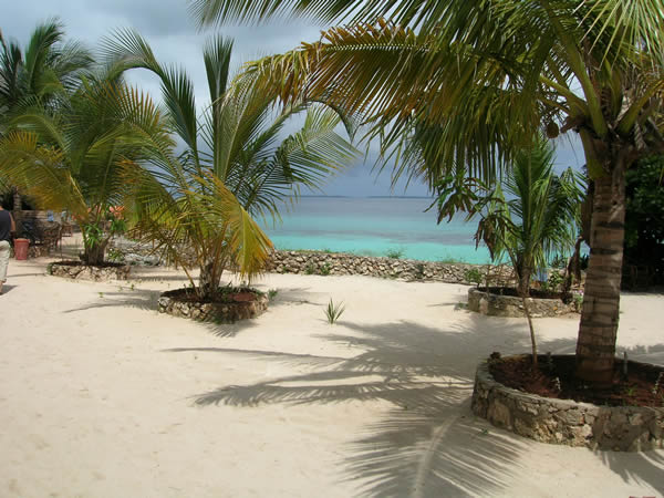 paradise2.jpg