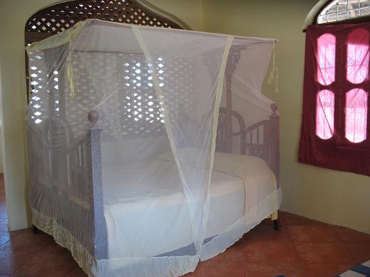 villadida15.jpg
